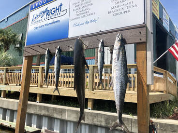 Destin Report Photo 2