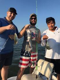 Grapevine Report Photo 1