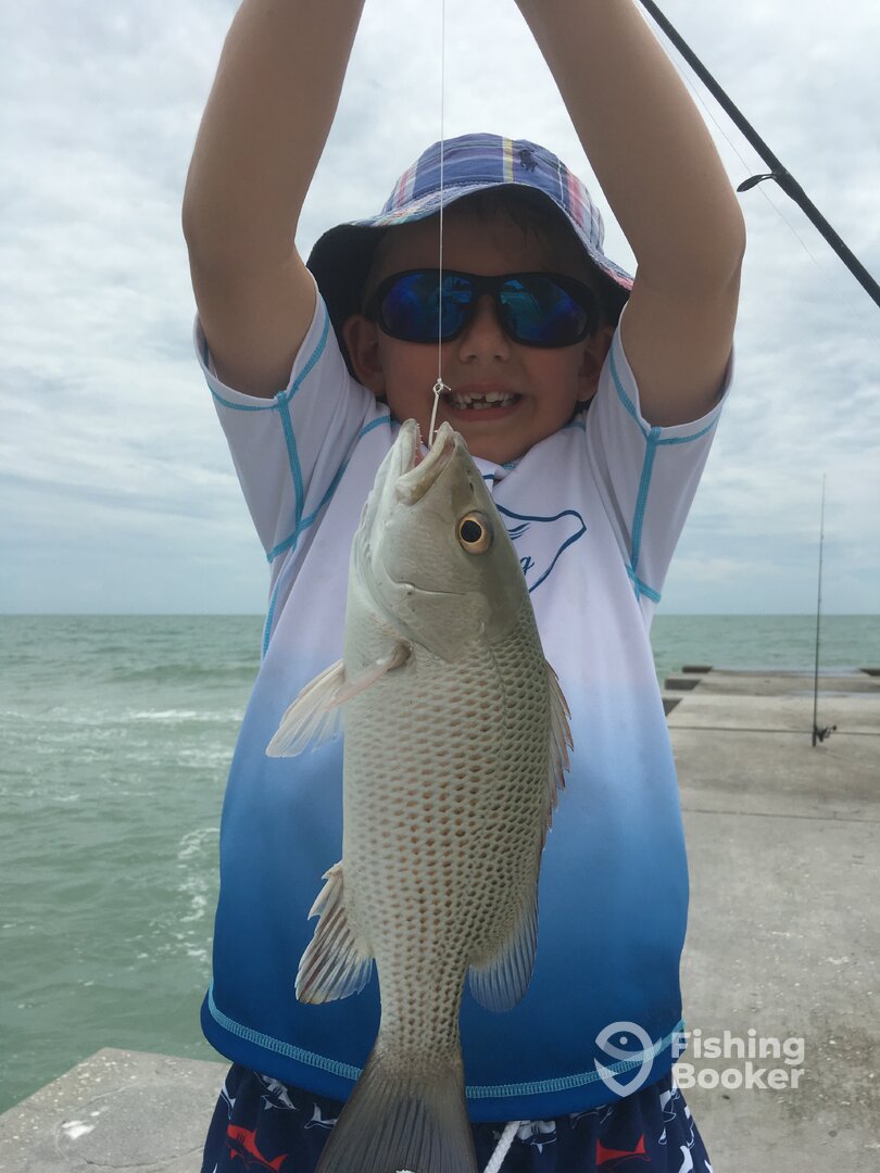 Longboat Key Report Photo 0