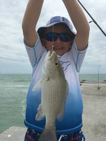 “BEACH BITE BONANZA”