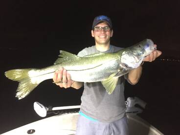 Miami Report Photo 2