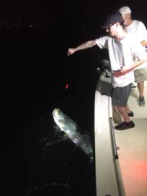 Miami Report Photo 1