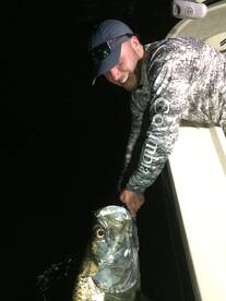 Miami Report Photo 2