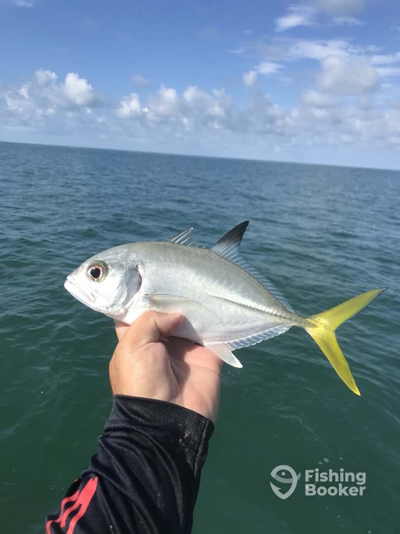 Marco Island Report Photo 0