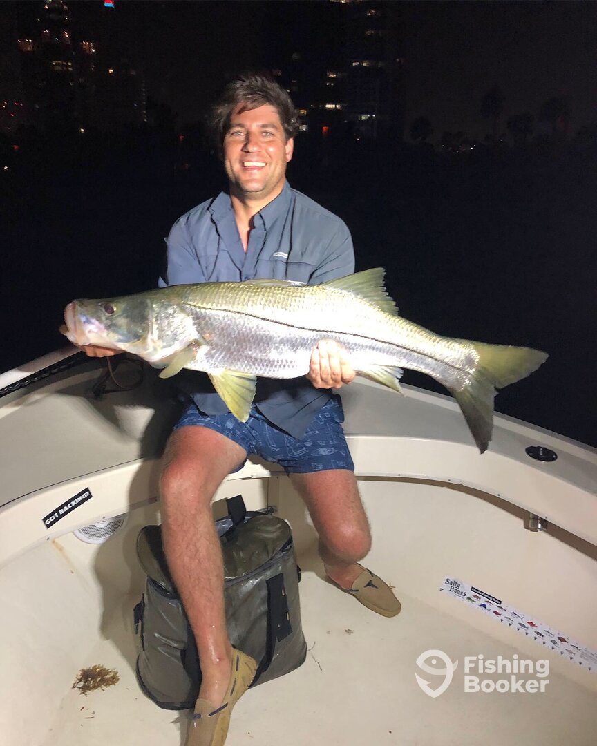 Miami Report Photo 0