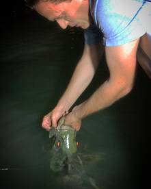 Miami Report Photo 1