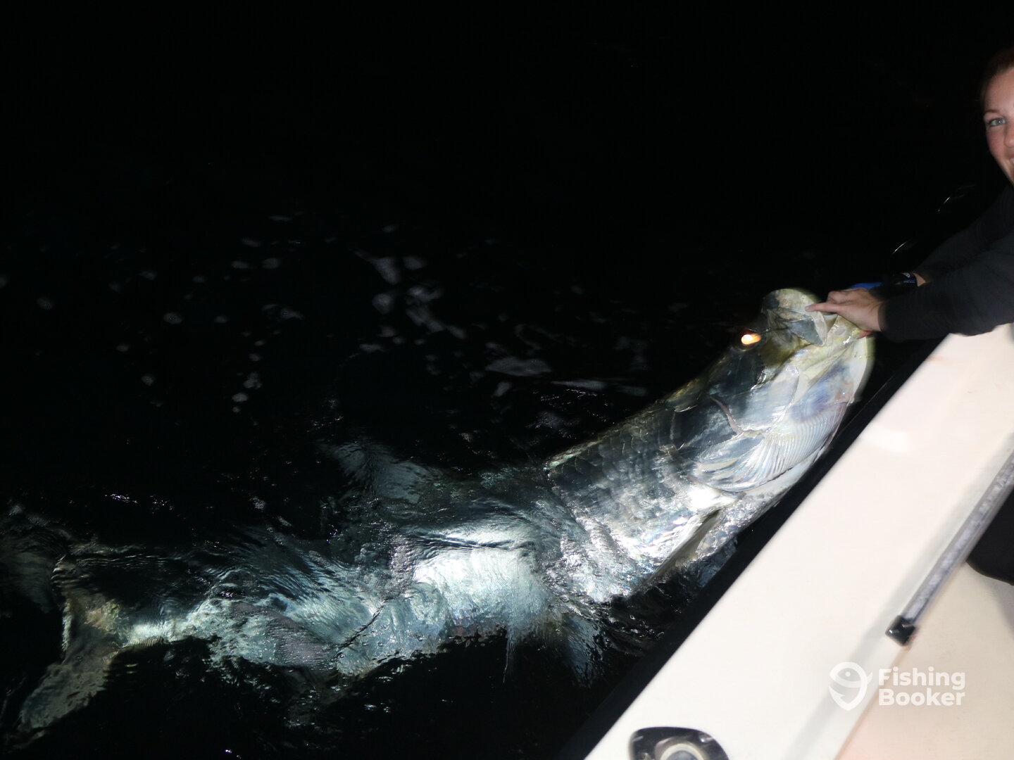 Miami Report Photo 0