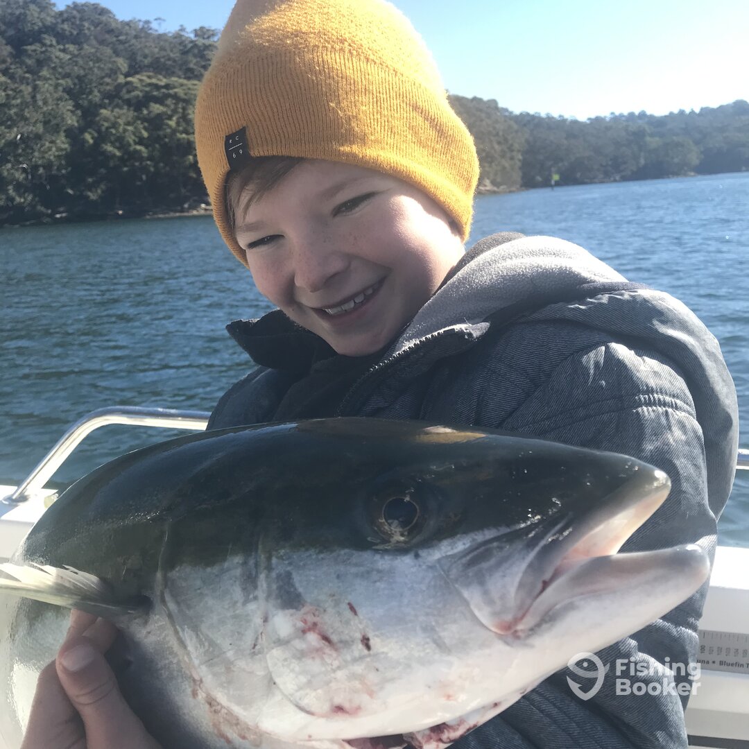 Sydney Report Photo 0