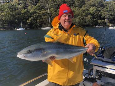 Sydney Report Photo 2