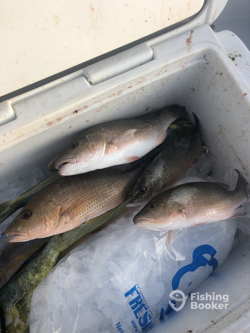 Marathon Report Photo 0