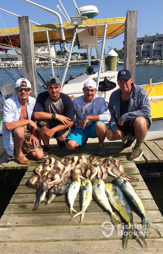 Brigantine Report Photo 0