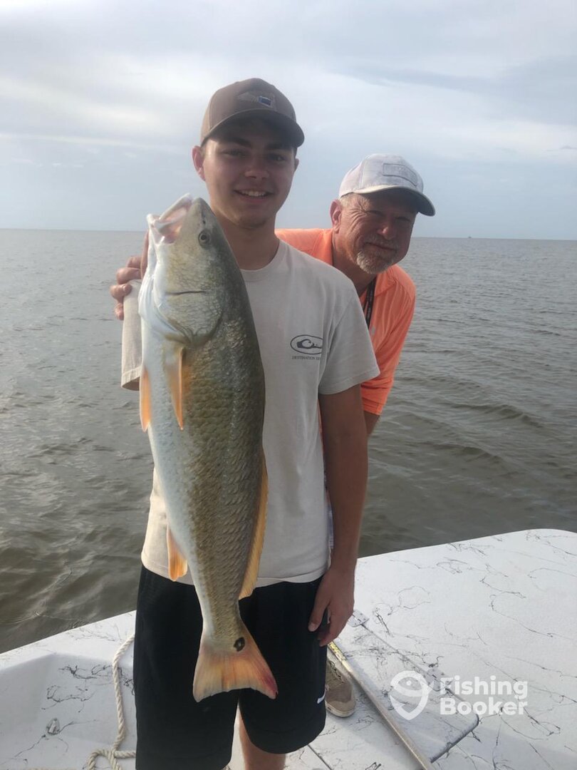 Bridge City Report Photo 0