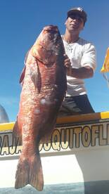 La Paz Report Photo 2