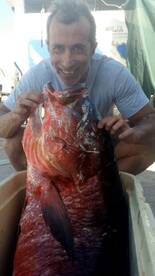 La Paz Report Photo 1