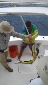 Quepos Report Photo 2