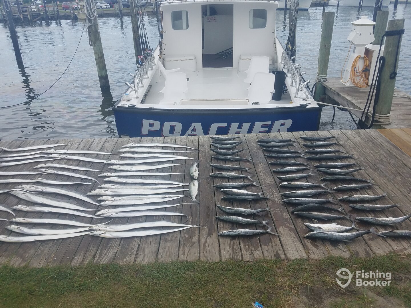 Nags Head Report Photo 0