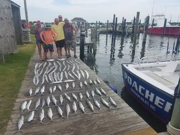 Nags Head Report Photo 1