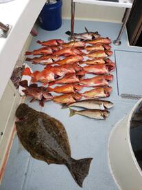 San Diego Report Photo 2