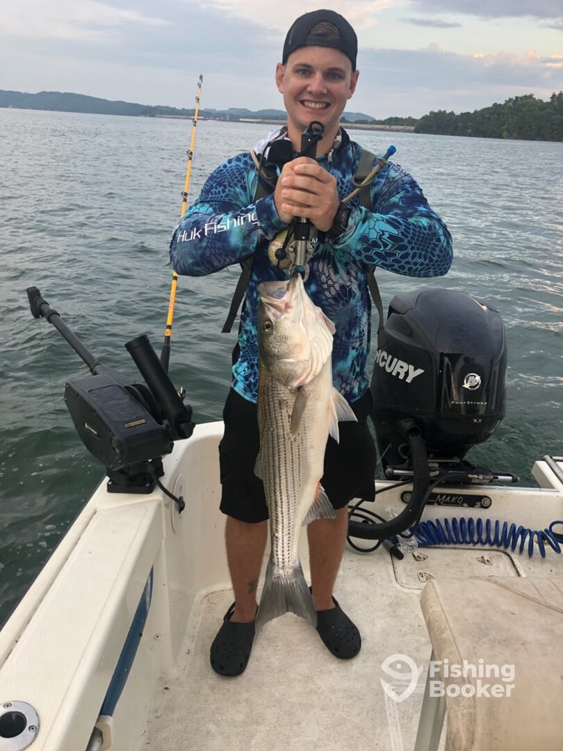 Jefferson City Report Photo 0