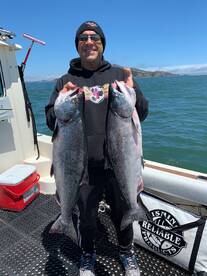 Big Salmon Moving In