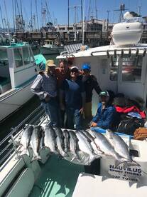 San Francisco Report Photo 2