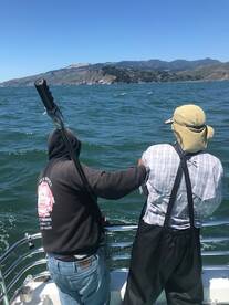 San Francisco Report Photo 1