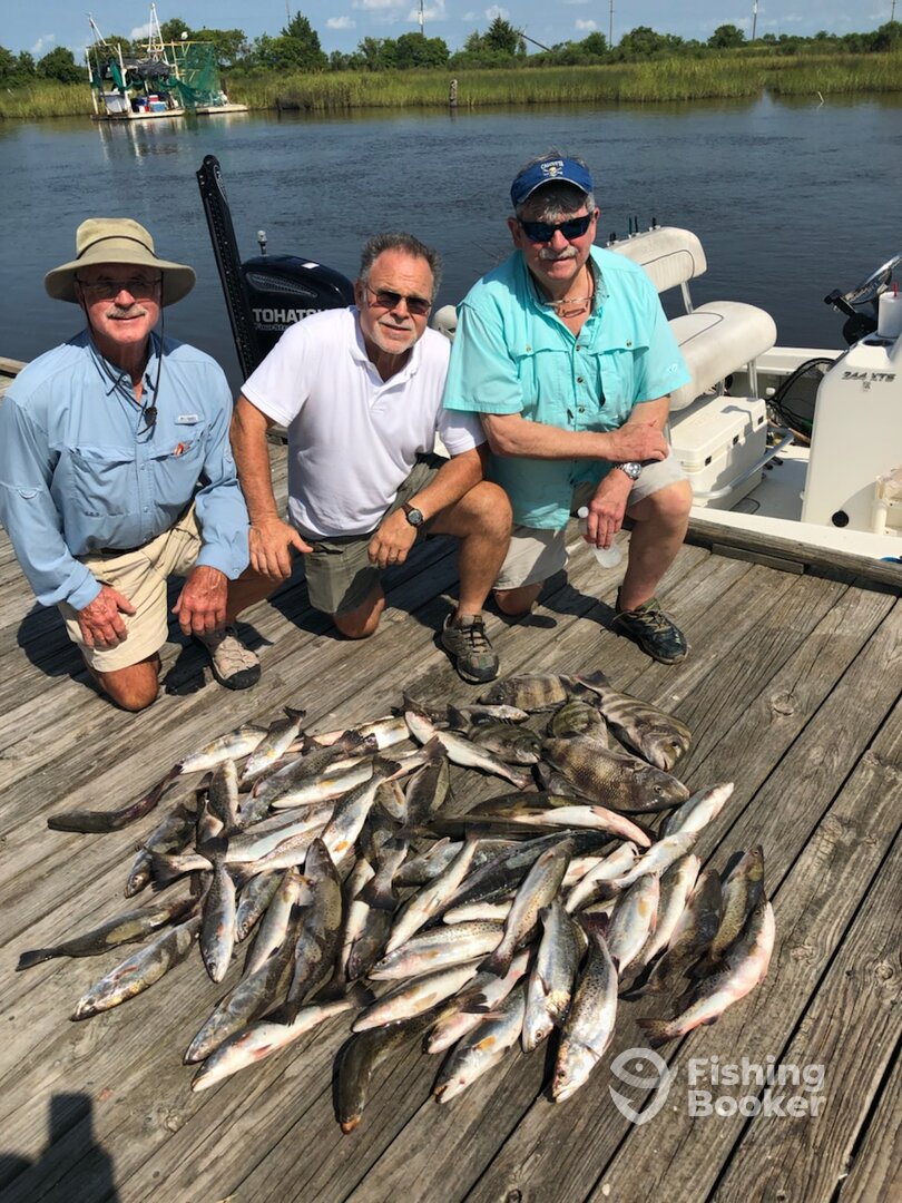 Sulphur Report Photo 0