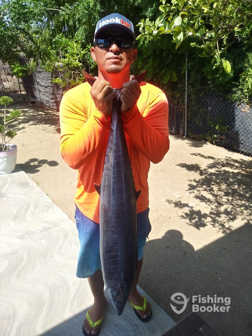 San Jose del Cabo Report Photo 0