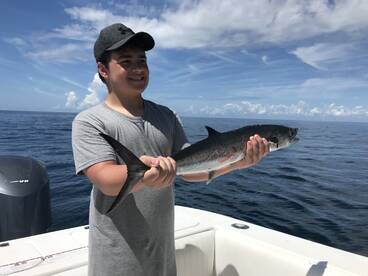 Little River Report Photo 1