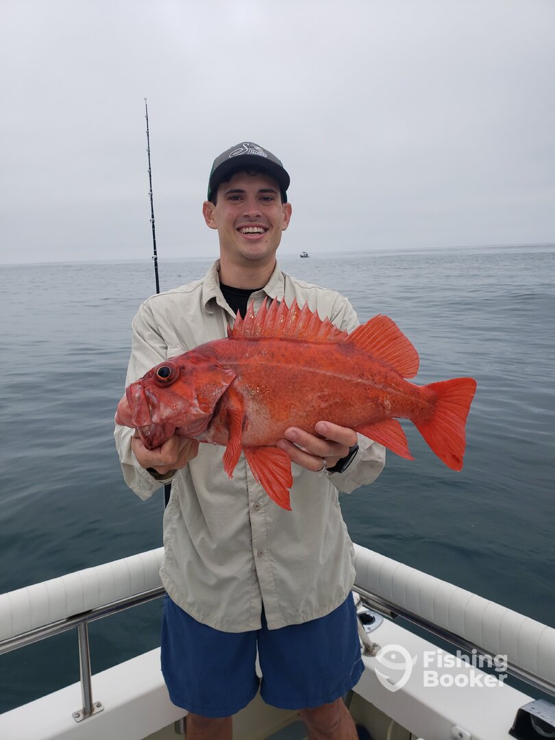 San Diego Report Photo 0