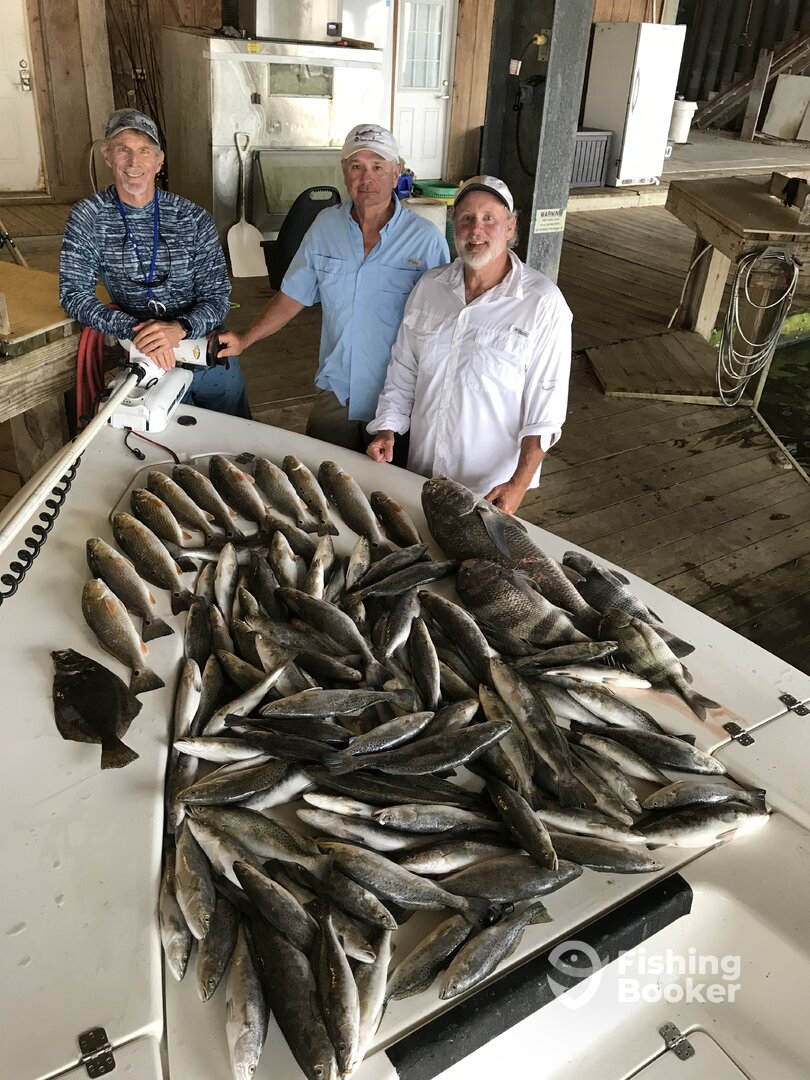 Venice Report Photo 0