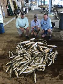 Venice Report Photo 2