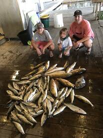 Venice Report Photo 1