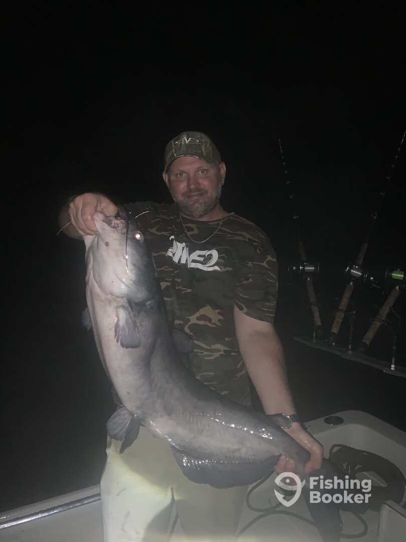 Tyner Report Photo 0