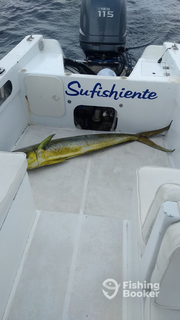 San Jose del Cabo Report Photo 0