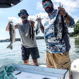 Solomons Report Photo 1