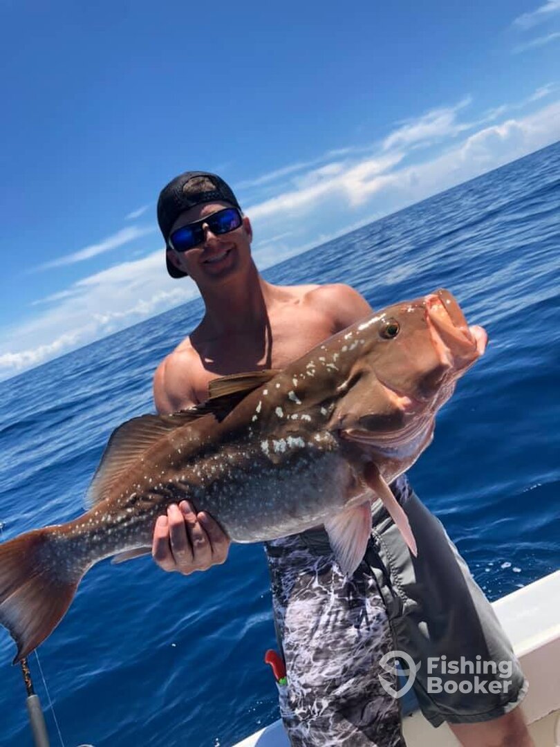 Clearwater Report Photo 0