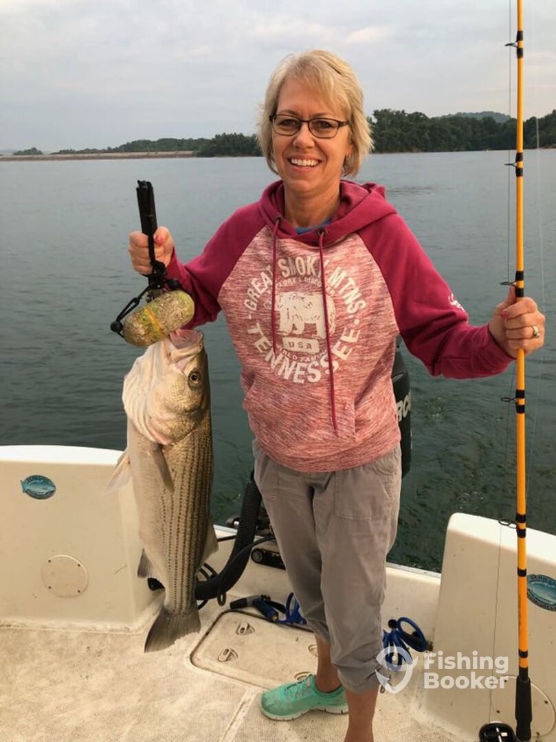 Jefferson City Report Photo 0