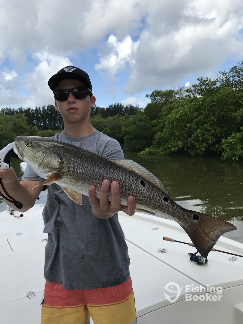 Clearwater Report Photo 0