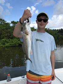 Clearwater Report Photo 1