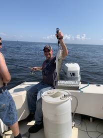 Bellevue Report Photo 1