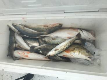 Port O'Connor Report Photo 1