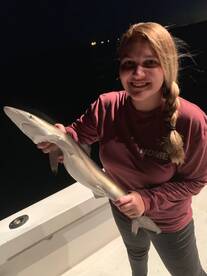 Dania Beach Report Photo 1