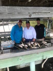 RED FISH LIMIT