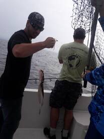 Highlands Report Photo 1