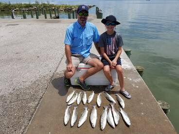 Galveston Report Photo 2