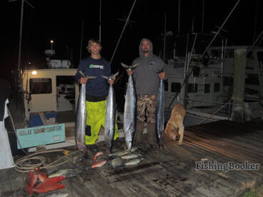 citation wahoos, triggers, snapper