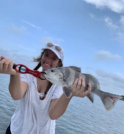 Mount Pleasant Report Photo 1