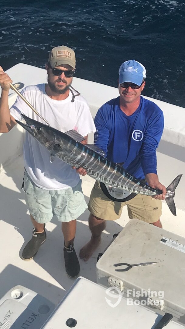 Orange Beach Report Photo 0