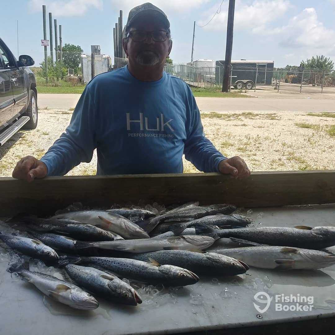 St. Bernard Report Photo 0